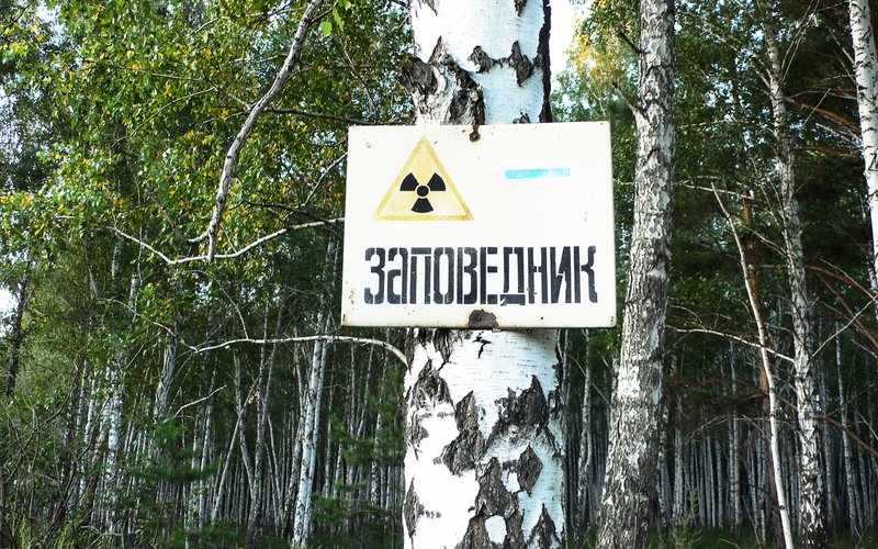 Радиоактивный углерод-14 из ядерных испытаний 1950-х годов замёрз в льдах и позволяет датировать дре