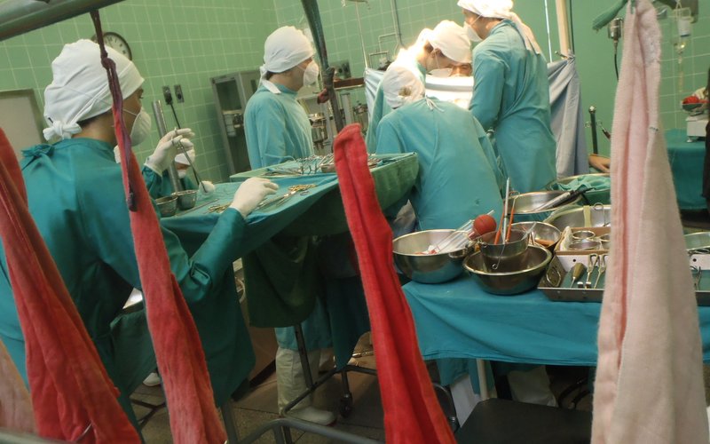 Трансплантация головы крысы успешно выполнена в 2016 году с восстановлением функций.